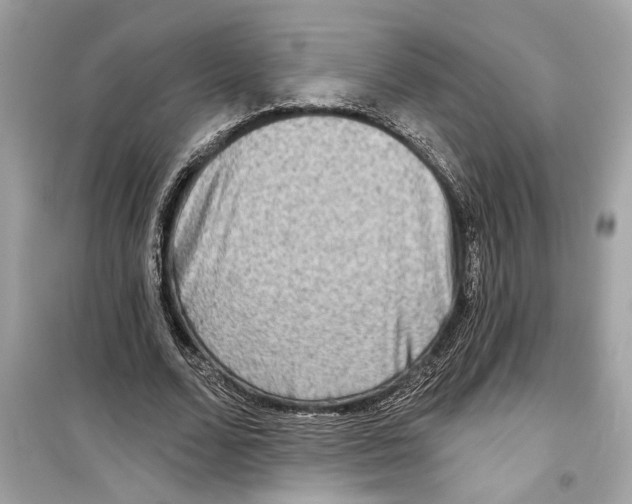 X0000098210680200805221627
