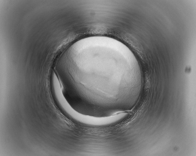 X0000098210681200805221627