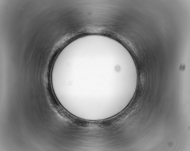 X0000098210682200805221627