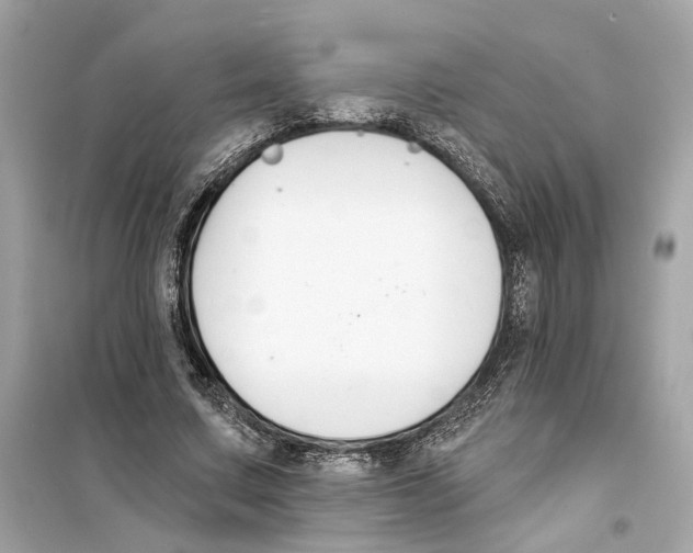 X0000098210683200805221627