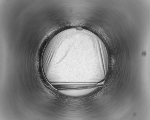 X0000098210684200805221627