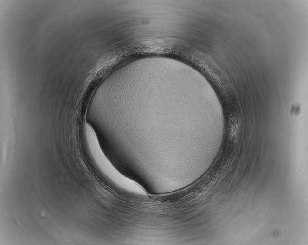 X0000098210685200805221627
