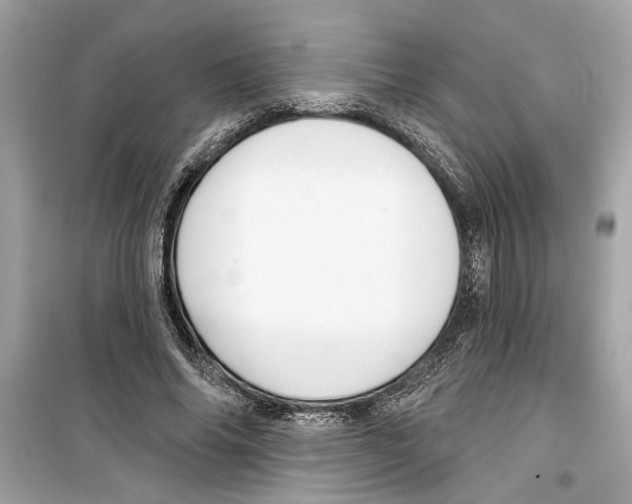 X0000098210686200805221627