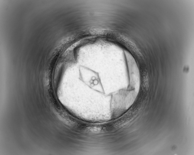 X0000098210687200805221627
