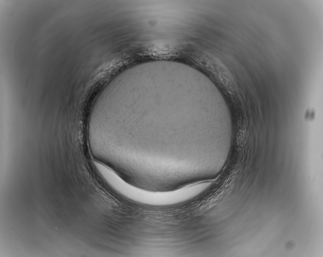 X0000098210689200805221627