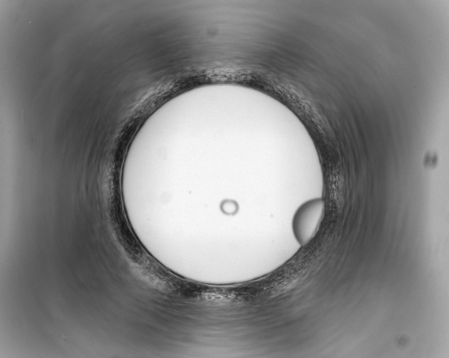 X0000098210690200805221627
