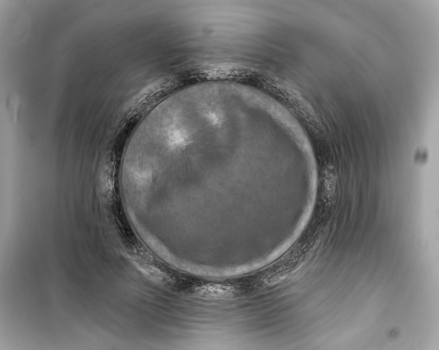 X0000098210691200805221627