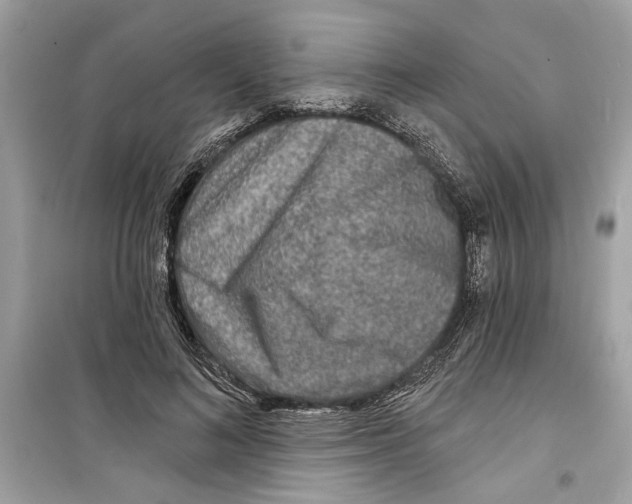 X0000098210692200805221627