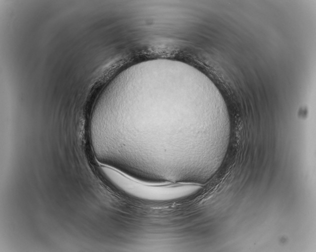 X0000098210693200805221627