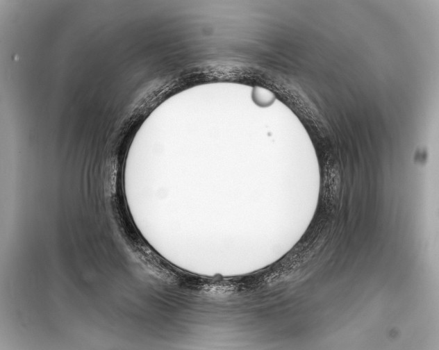 X0000098210694200805221627