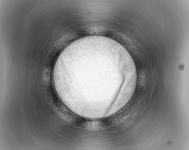 X0000098210695200805221627