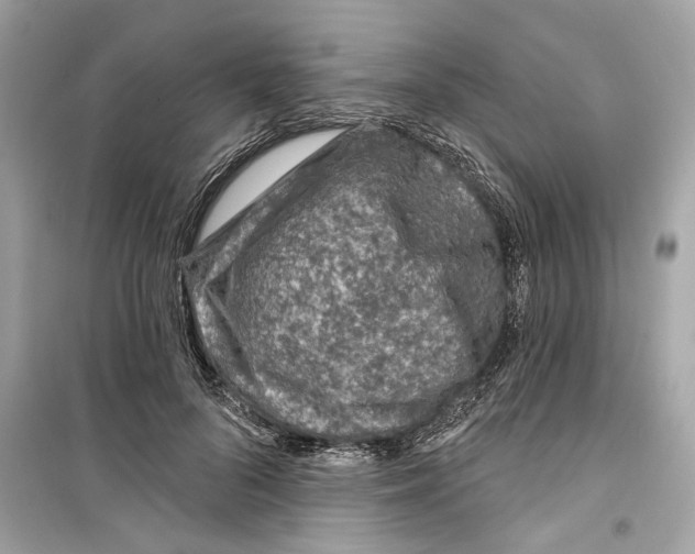 X0000098210696200805221627