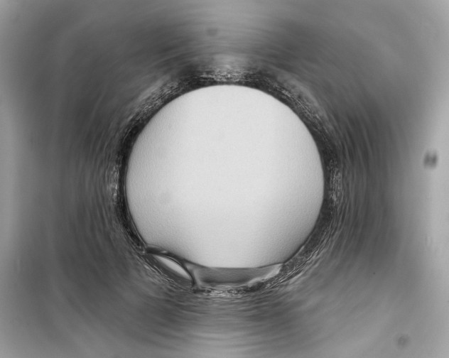X0000098210697200805221627