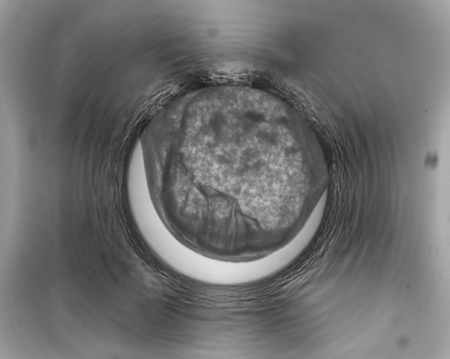 X0000098210699200805221627