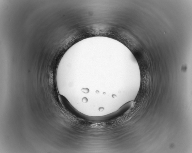 X0000098210700200805221627