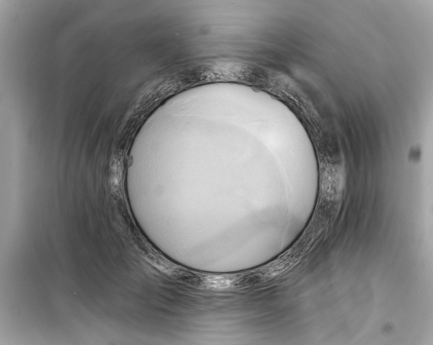 X0000098210701200805221627