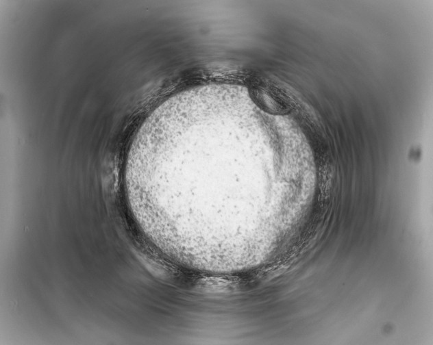 X0000098210703200805221627