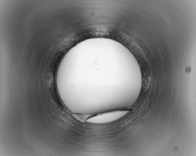 X0000098210704200805221627
