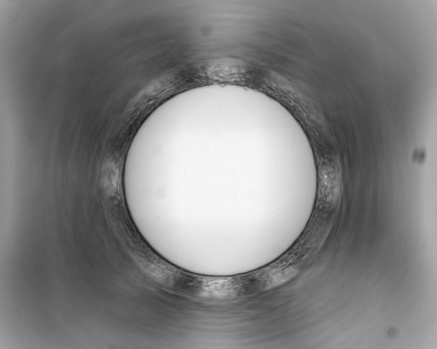 X0000098210705200805221627