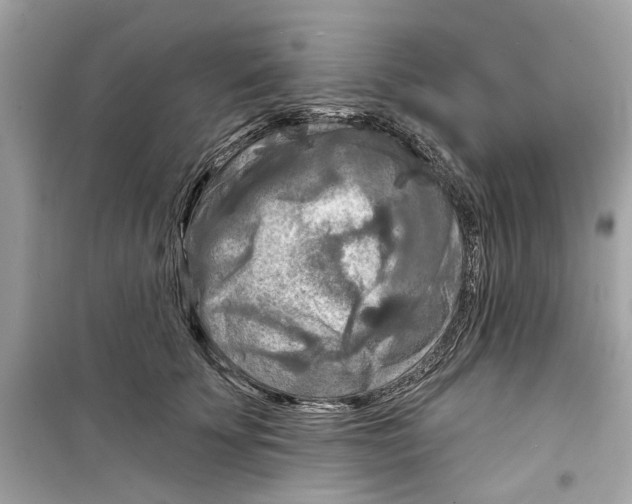 X0000098210707200805221627