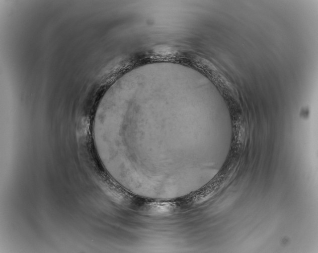 X0000098210711200805221627