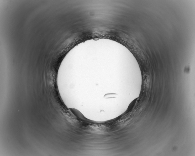 X0000098210712200805221627