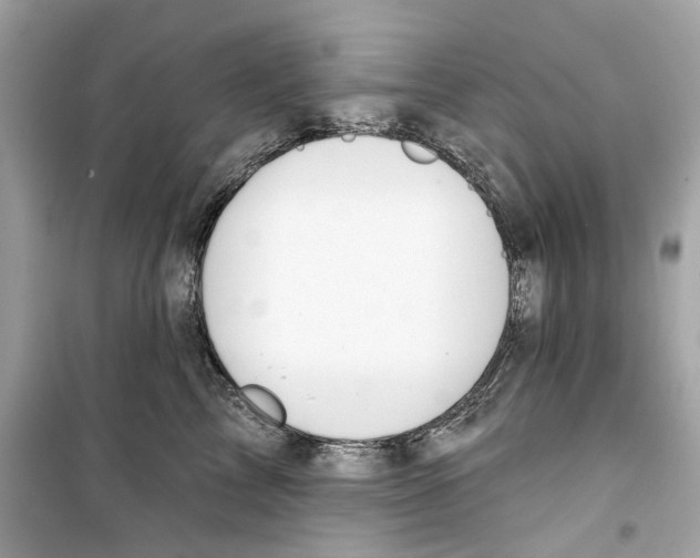 X0000098210713200805221627