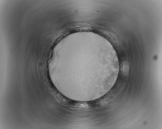 X0000098210715200805221627