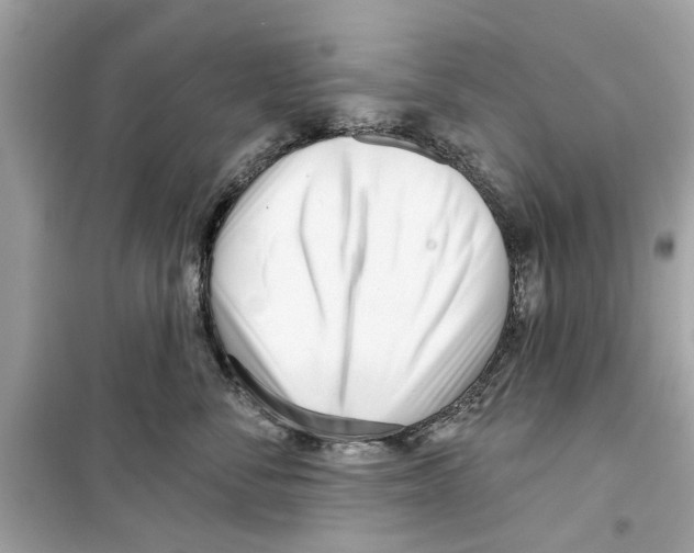 X0000098210716200805221627