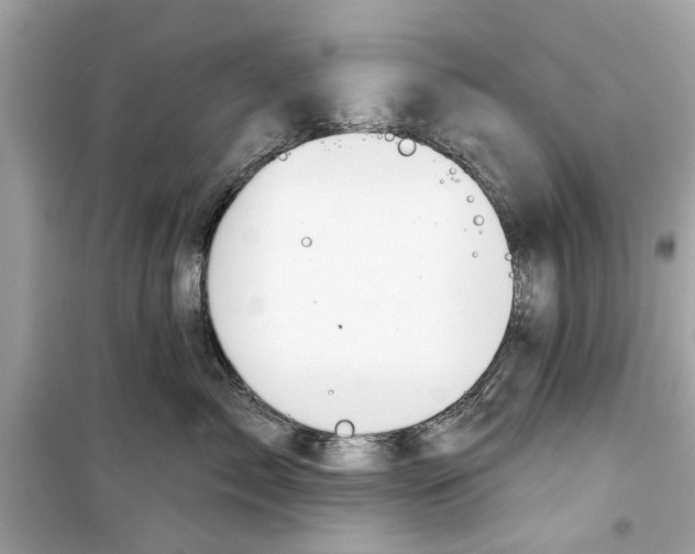 X0000098210717200805221627
