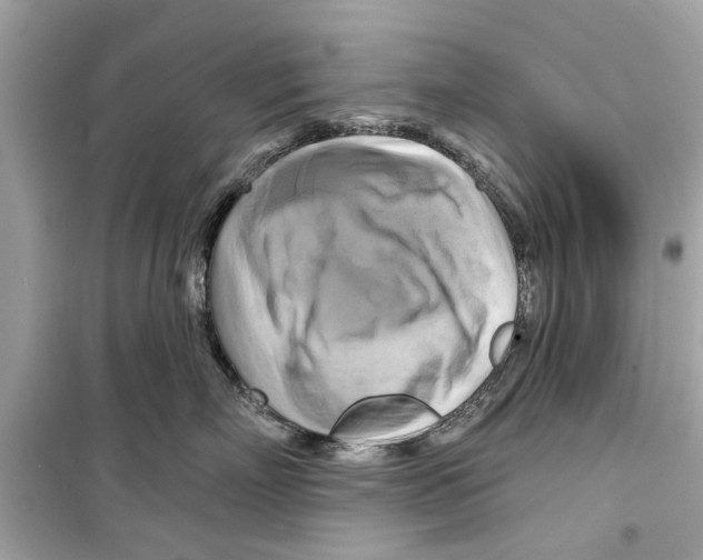 X0000098210718200805221627