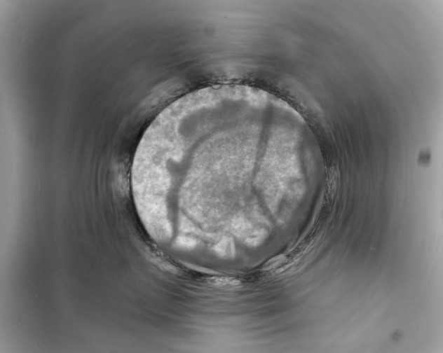 X0000098210719200805221627