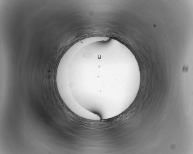 X0000098210720200805221627