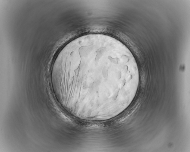 X0000098210721200805221626