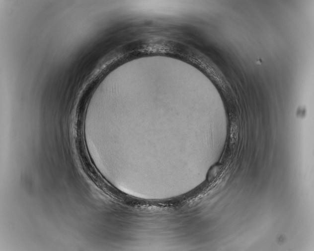X0000098210722200805221626