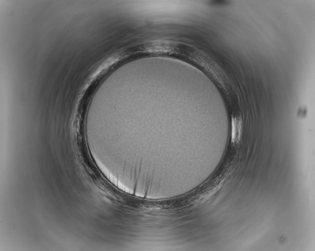 X0000098210723200805221626