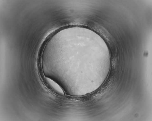 X0000098210724200805221626