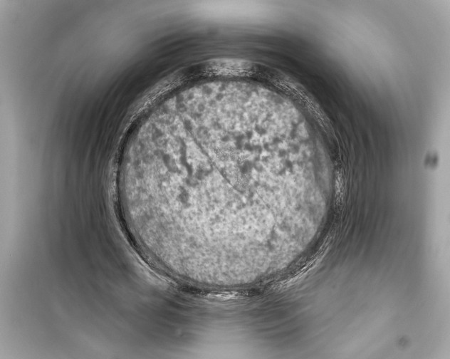 X0000098210725200805221626