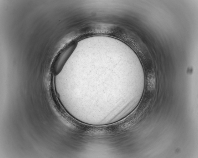 X0000098210726200805221626
