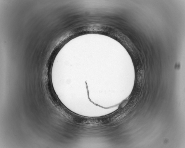 X0000098210727200805221626