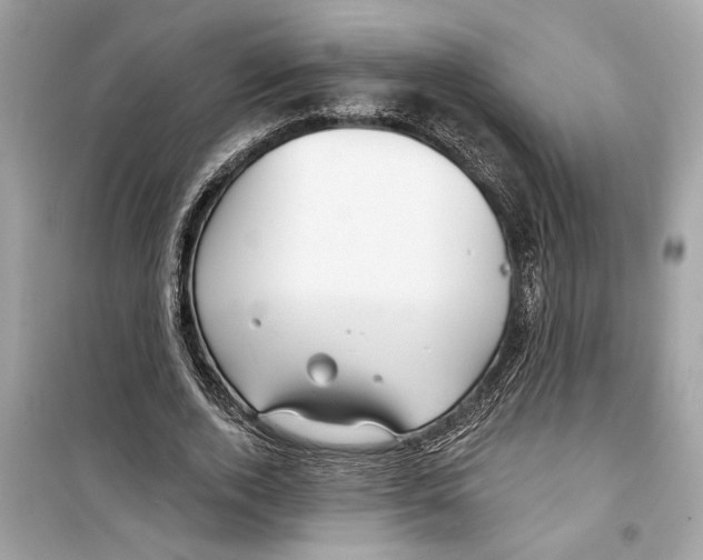 X0000098210728200805221626