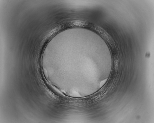 X0000098210729200805221626