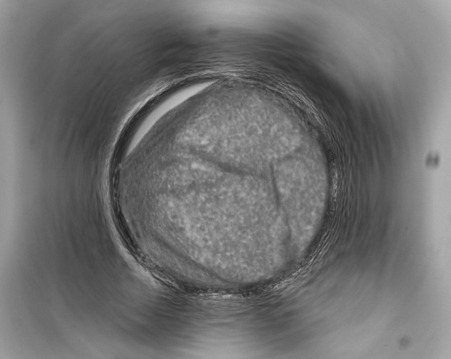 X0000098210730200805221626