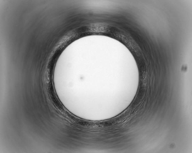 X0000098210731200805221626