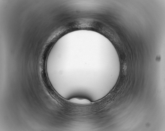 X0000098210732200805221626