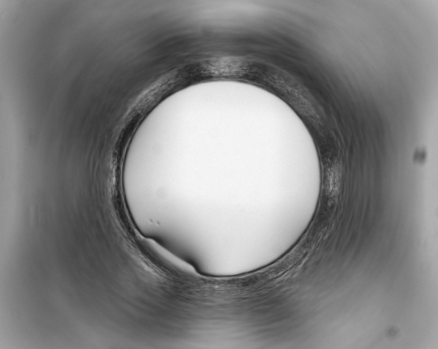 X0000098210733200805221626