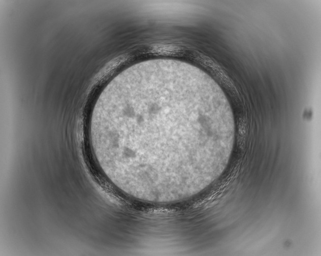 X0000098210734200805221626