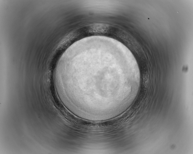 X0000098210735200805221626