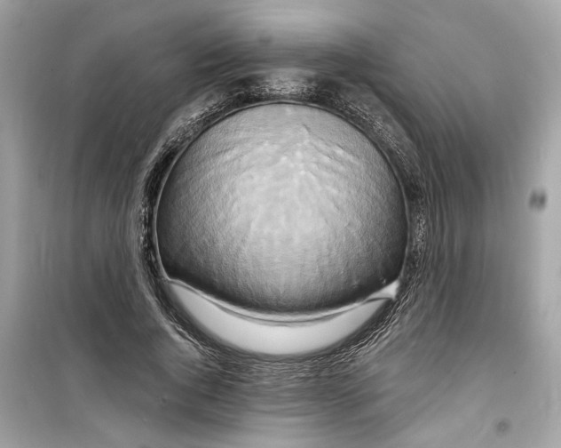 X0000098210736200805221626