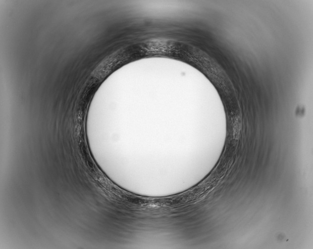 X0000098210737200805221626